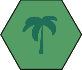 Jungle
