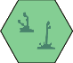 Swamp