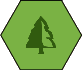 Taiga